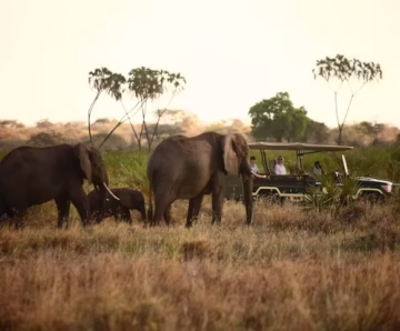 MERU NATIONAL PARK