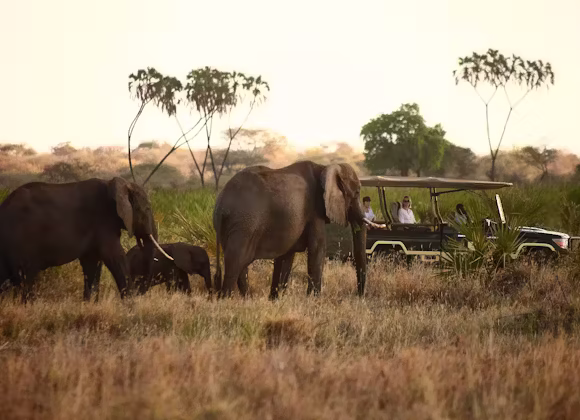 MERU NATIONAL PARK