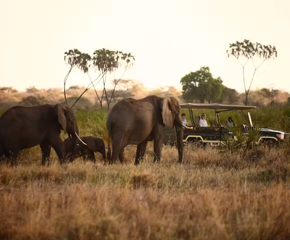 MERU NATIONAL PARK