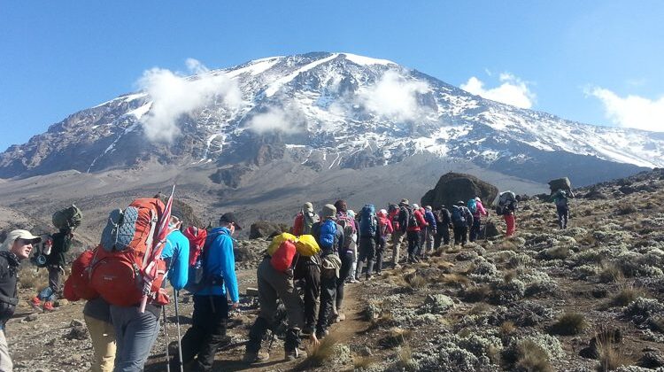 Mount Kilimanjaro Climbing Via the Famous Coca Cola Route
