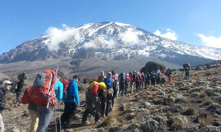 Mount Kilimanjaro Climbing Via the Famous Coca Cola Route