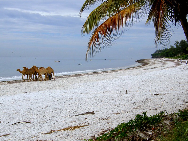 Nyali Beach