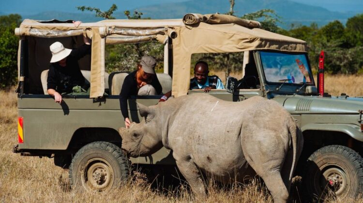 OL PEJETA WILDLIFE SANCTUARY