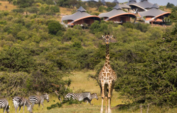 OLARE MOTOROGI CONSERVANCY
