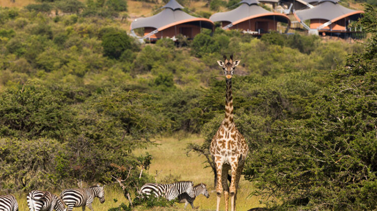 OLARE MOTOROGI CONSERVANCY