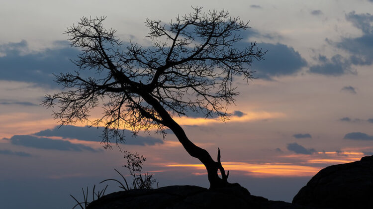 Olduvai Gorge – Secrets Revealed