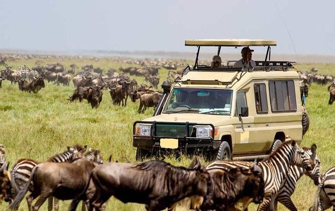 Our Best Excursions & Day Trips from Nairobi, See the Wildlife Right Here in Nairobi Or, Take an Easy Safari to Nearby Wildlife Parks.