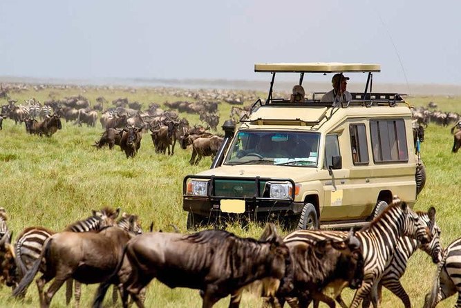 Our Best Excursions & Day Trips from Nairobi, See the Wildlife Right Here in Nairobi Or, Take an Easy Safari to Nearby Wildlife Parks.