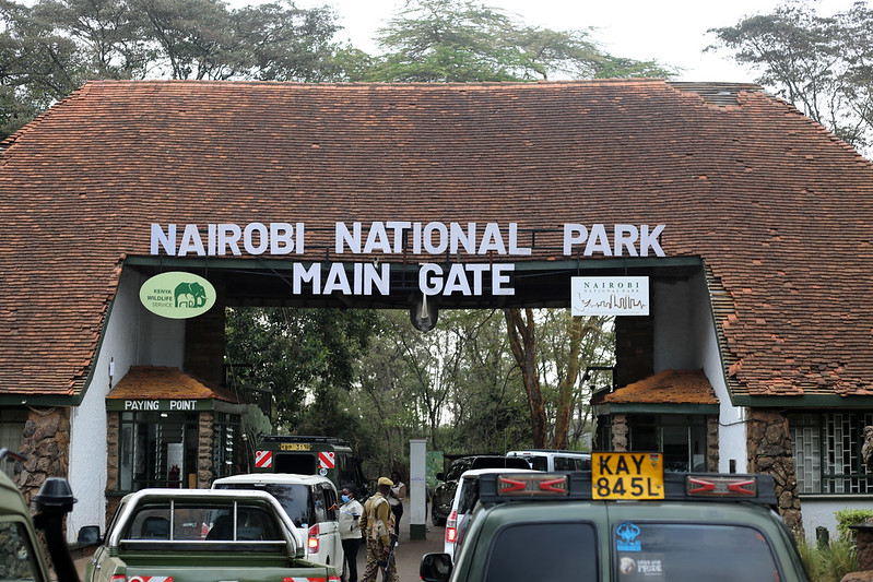 Our New Daily Trips to Nairobi National Park
