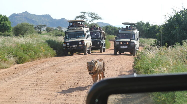 Road or Flight Safari – Your Choice