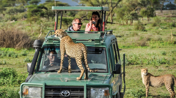 Looking for the Best Safari in Tanzania?