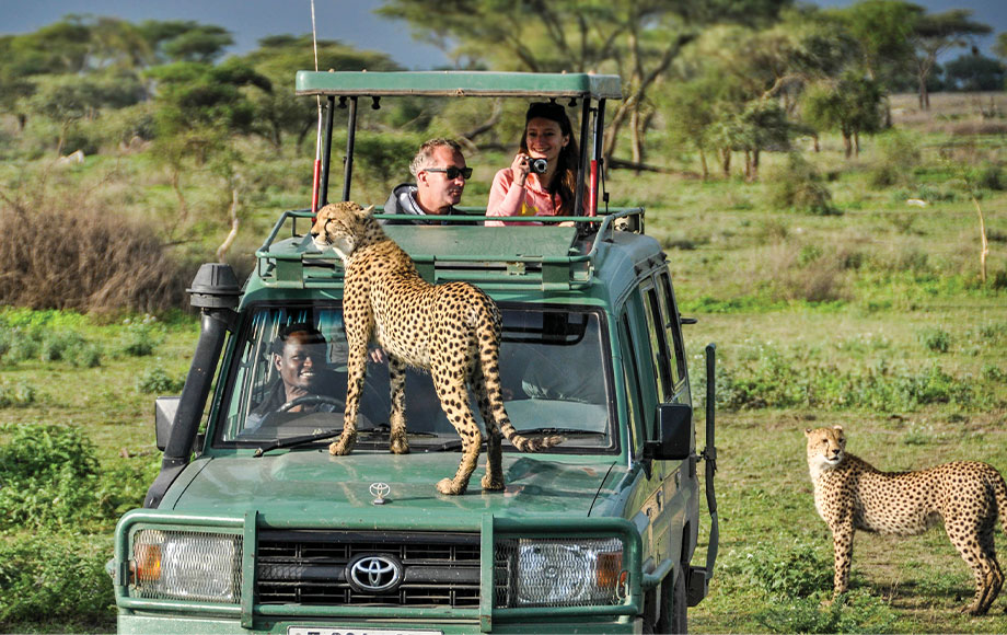 Looking for the Best Safari in Tanzania?