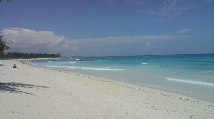 Safari to Diani Beach!