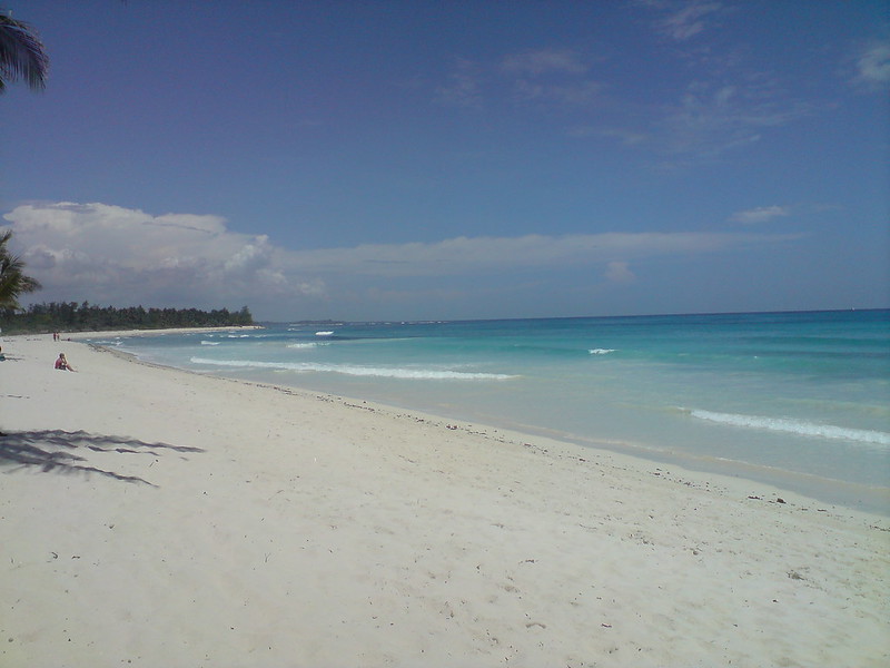 Safari to Diani Beach!