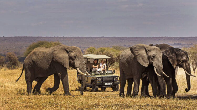 TARANGIRE NATIONAL PARK, TANZANIA