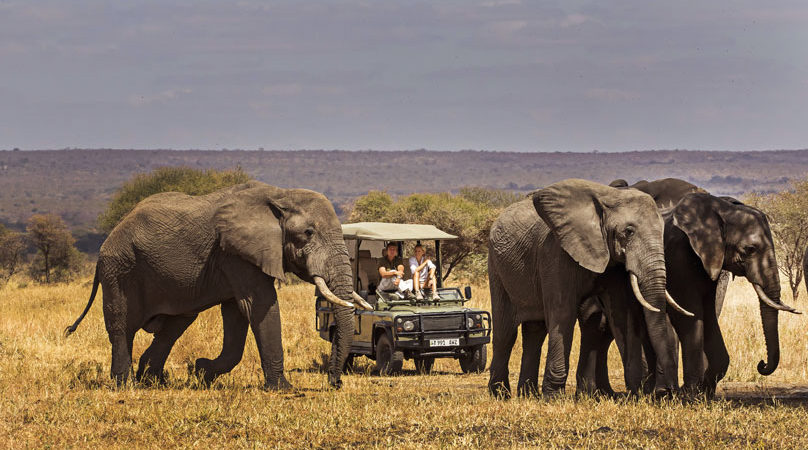 TARANGIRE NATIONAL PARK, TANZANIA