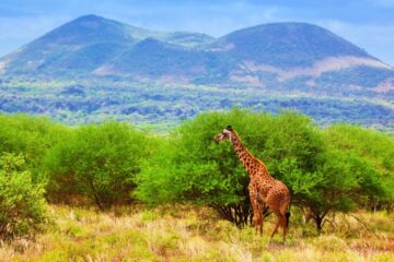 TSAVO WEST NATIONAL PARK