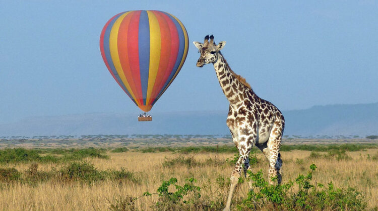 Take a Hot Air Balloon Safari