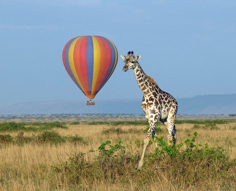 Take a Hot Air Balloon Safari