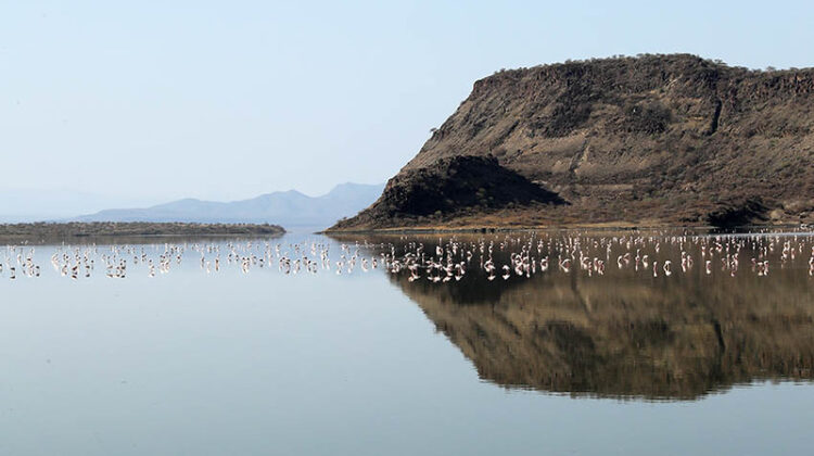 The Mysteries of Lake Natron