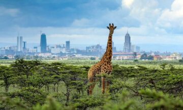 Things to Do in Nairobi
