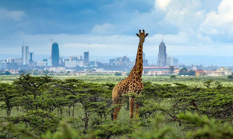 Things to Do in Nairobi
