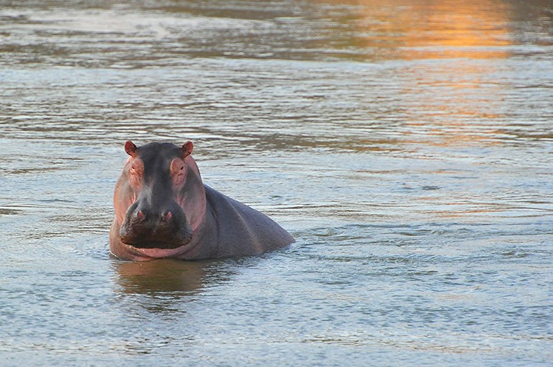 Tsavo East National Park
