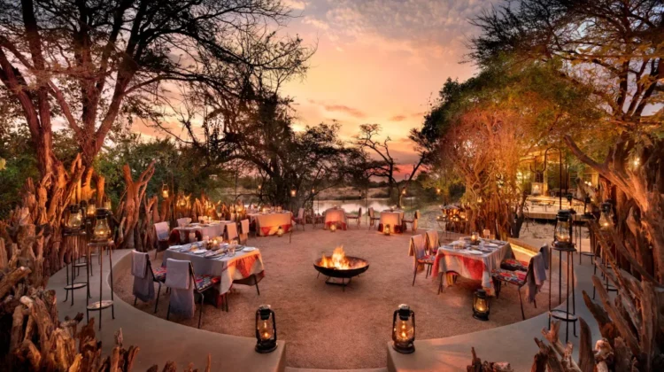 Wellness Safari Tours in Kenya & Tanzania