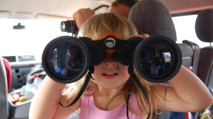 What are the Best Binoculars for Safari