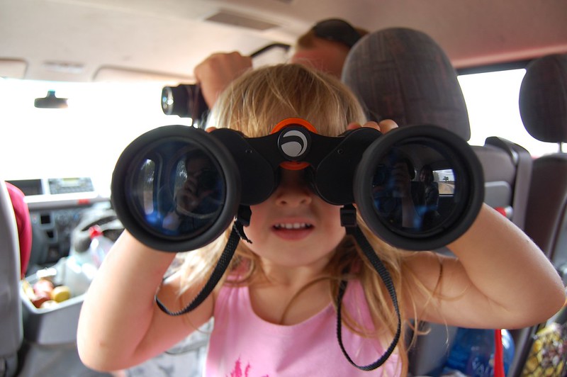 What are the Best Binoculars for Safari