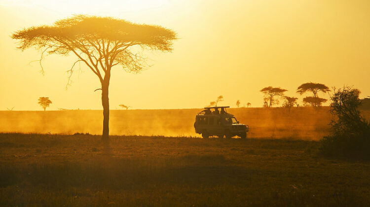 What are the distances and driving times on safari