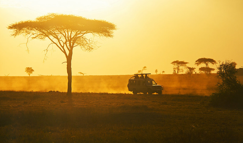 What are the distances and driving times on safari