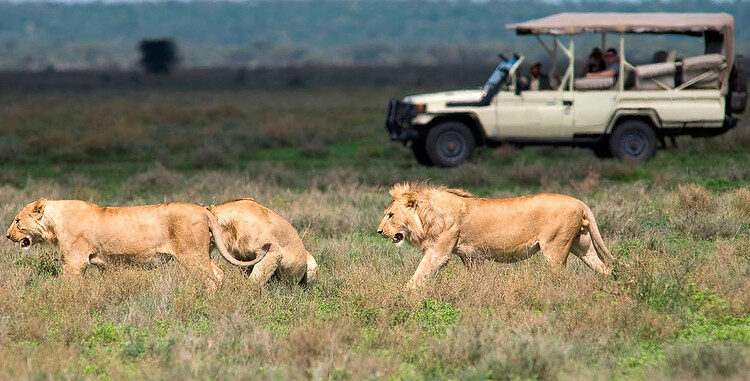 What do we mean by unlimited game viewing drives