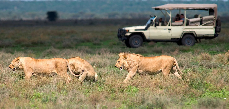 What do we mean by unlimited game viewing drives