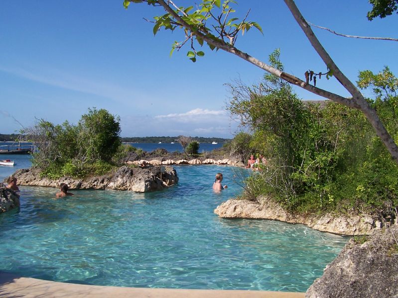 What special discount or incentive do we expect if on our honeymoon safari or are travelling with kids