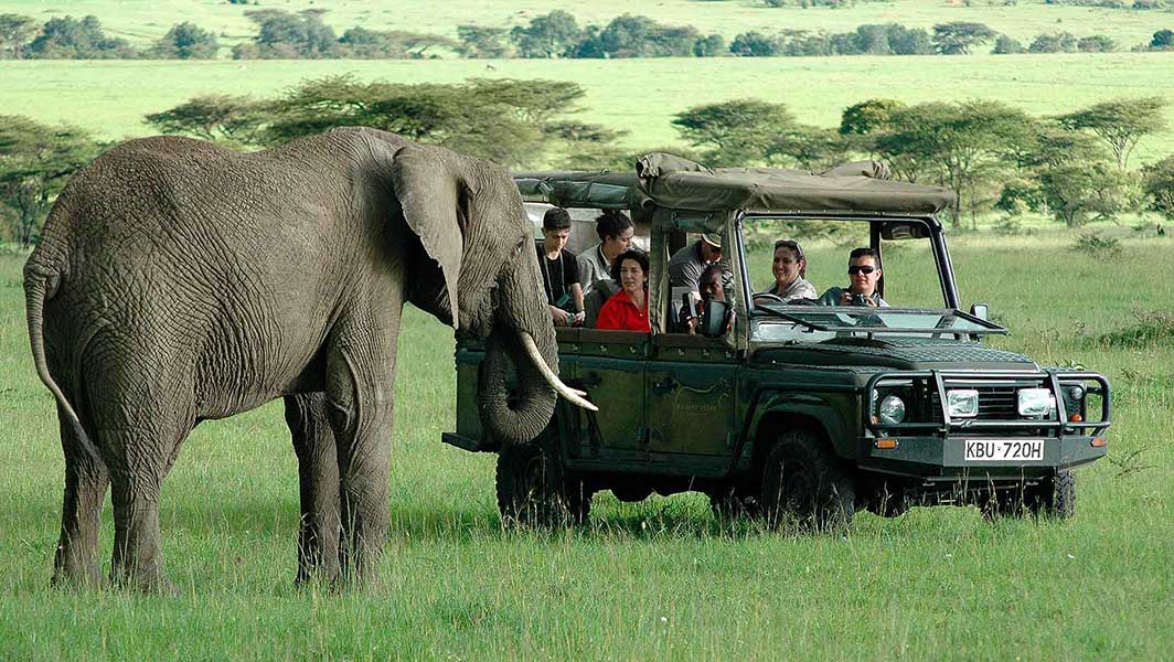 YOUR KENYA SAFARI GUIDE
